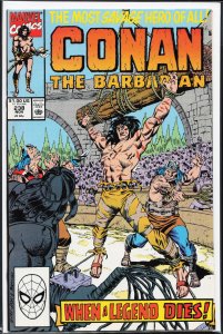 Conan the Barbarian #238 (1990) Conan