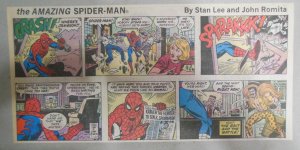 Spiderman Sunday by Stan Lee & John Romita from 11/20/1977 Size: 7.5 x 15 inches