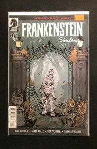 Frankenstein Undone #2 Variant Cover (2020)