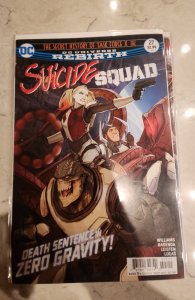 Suicide Squad #27 Stjepan Šejić Cover (2017)