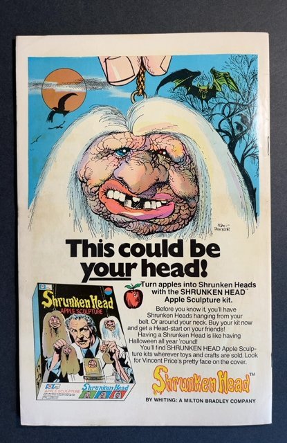 Star Spangled War Stories #194 (1975)