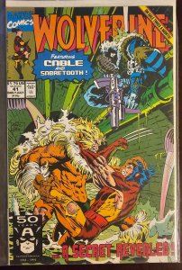 Wolverine #41 (1991)