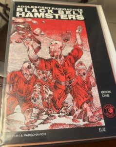 Adolescent Radioactive Black Belt Hamsters #1 (1986)  