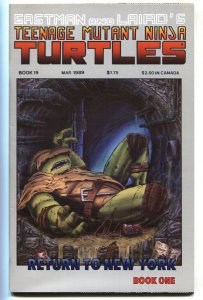 TEENAGE MUTANT NINJA TURTLES #19 comic book 1989 Mirage