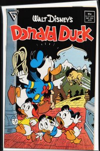Donald Duck #252 (1987)
