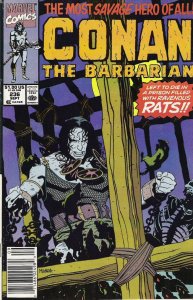Conan the Barbarian #236 (1990)  VF/NM 9.0