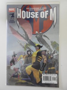 House of M #1 Ribic Cover (2005)