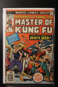 Master of Kung Fu #45 (1976)