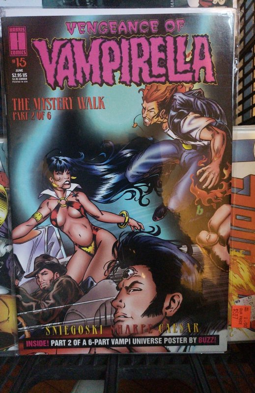 Vengeance of Vampirella #15 Chris Berkeley Cover (1995)