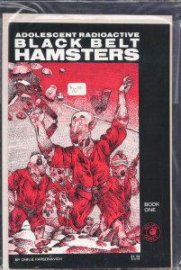 Adolescent Radioactive Black Belt Hamsters #1 (1986)