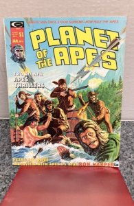 Planet of the Apes #4 (1975)