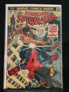 The Amazing Spider-Man #123 (1973)