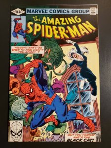 Amazing Spider-Man #204 (1980) VF+ 3rd appearance Black Cat Marv Wolfman |