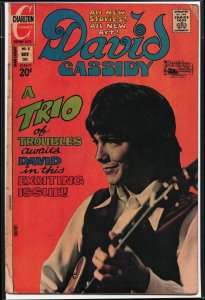 David Cassidy #8 (1972)