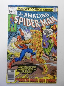 The Amazing Spider-Man #173 (1977) FN Condition!