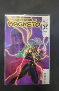 Resurrection of Magneto #1 (2024)