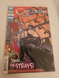 Catwoman 28 Intro The Strays Ram V