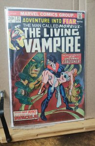 Adventure Into Fear #21 (1974)