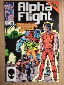 Alpha Flight #28