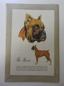 Lassie #25 (1955) FN+ Condition!