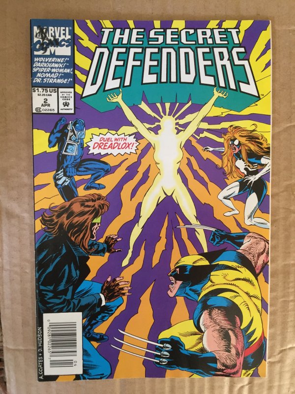 The Secret Defenders #2