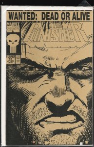 The Punisher #57 (1991) Punisher