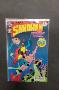 The Sandman Special (2017)