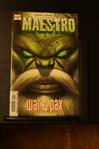 Maestro: War & Pax #1 (2021)