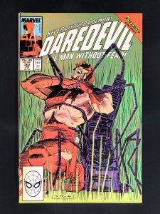 Daredevil #262 (1989)