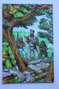 Teenage Mutant Ninja Turtles #12 (1987) NM