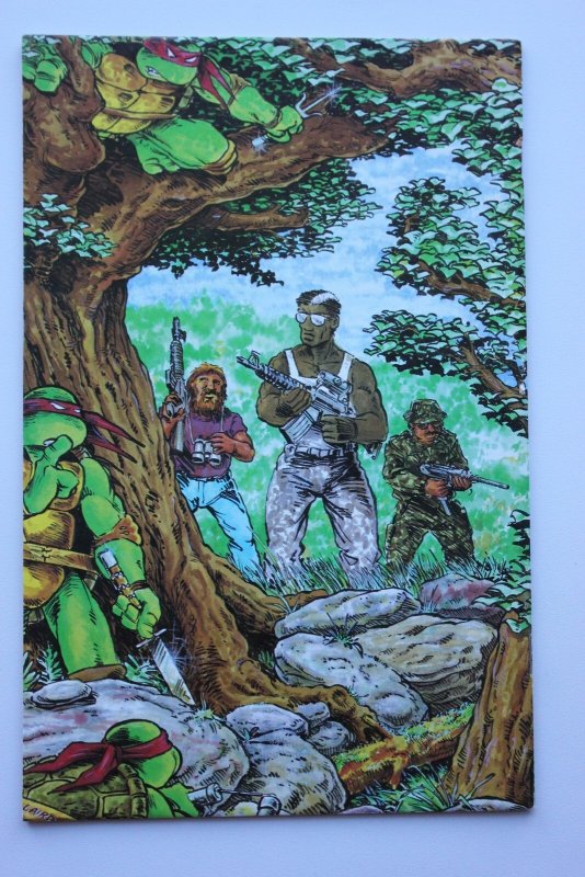 Teenage Mutant Ninja Turtles #12 (1987) NM