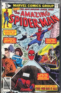 The Amazing Spider-Man #195 (1979) Spider-Man