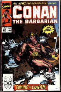 Conan the Barbarian #232 (1990) Conan