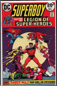 Superboy #197 (1973)