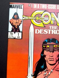 Conan the Destroyer #1,2  (1985) (2 bks Lot) [KEY] 1st Movie Adaptation - NM!