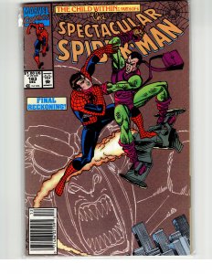 The Spectacular Spider-Man #183 (1991) Spider-Man