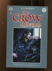 THE CROW #2 (9.2) FLESH & BLOOD! 1996