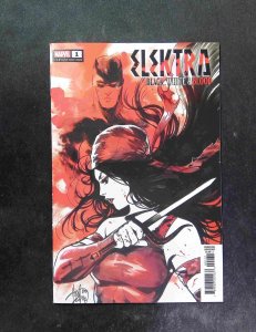 Elektra Black White and Blood #1C  Marvel Comics 2022 NM-  Andolfo Variant