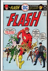 The Flash #239 (1976) The Flash