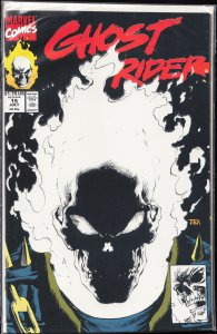 Ghost Rider #15 (1991) Ghost Rider