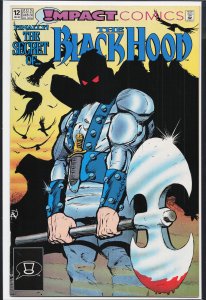 The Black Hood #12 (1992) Black Hood