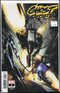 Ghost Rider #2 Variant Cover (2020)
