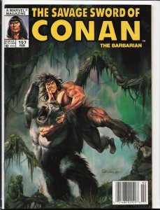 The Savage Sword of Conan #157 (1989) Conan