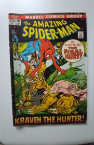 The Amazing Spider-Man #104 (1972)