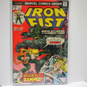 Iron Fist #2 (1975) Very Fine/ Near Mint  Valley of the Damned!