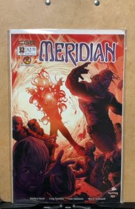 Meridian #32 (2003)
