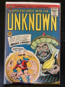 Adventures into the Unknown #161 (1965)