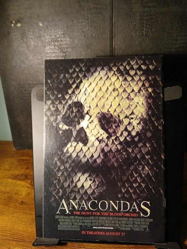 The Amazing Spider-Man #511 (2004)