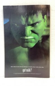 The Punisher #30 (2003)