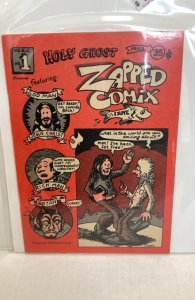 Holy Ghost Zapped Comix #1 (1973)